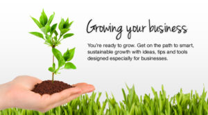 USING A SYSTEM TO GROW YOUR BUSINESS