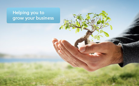 USING A SYSTEM TO GROW YOUR BUSINESS